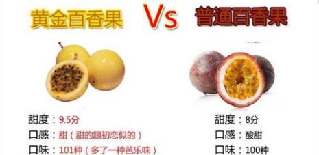 1—12应季水果
