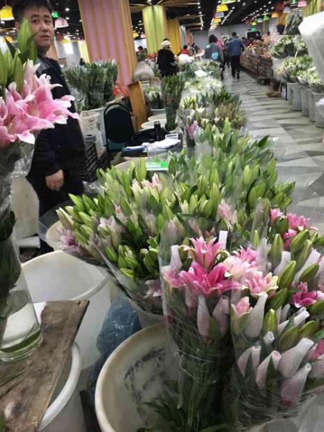 澳赢花卉市场营业时间