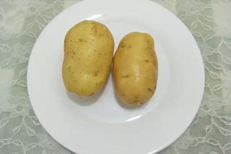 土豆放冰箱可以防止长芽吗