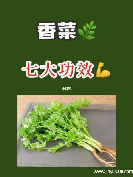 香菜的茎是哪一类的