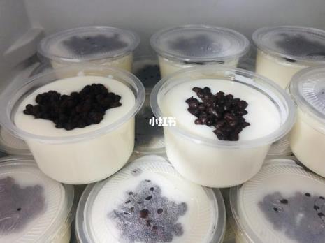 双皮奶的制作方法摆摊