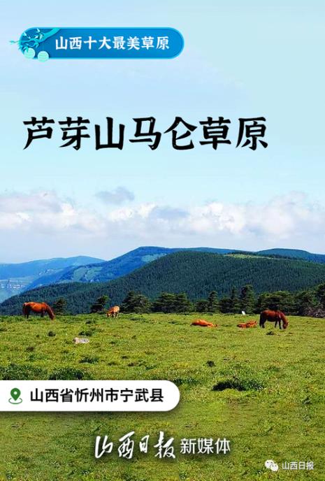 芦芽山草原面积多大