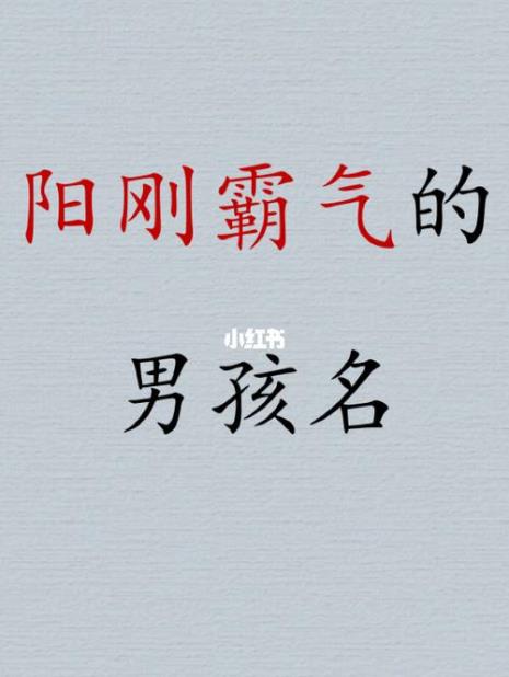 苏姓男孩阳刚硬气点的名字