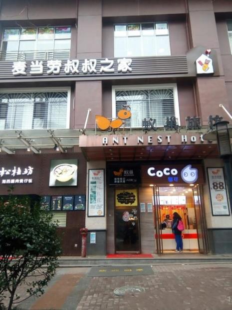 术数家是什么