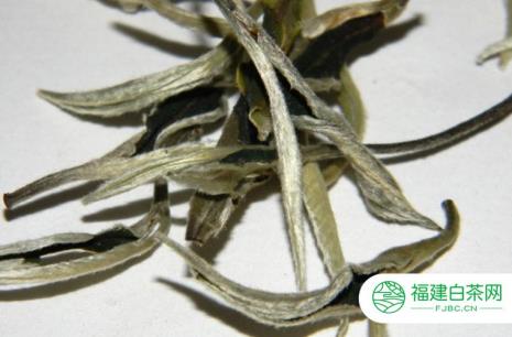 鹿升升白茶产地