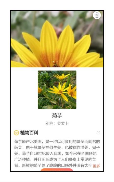怎样用识花君识别花草