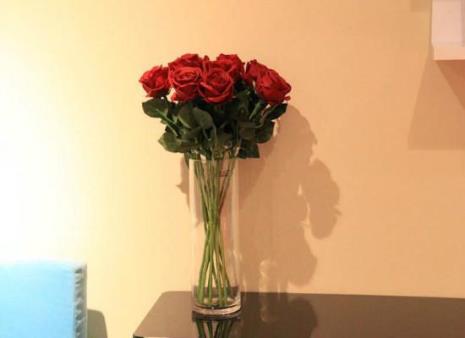 玫瑰花醒完以后怎么办