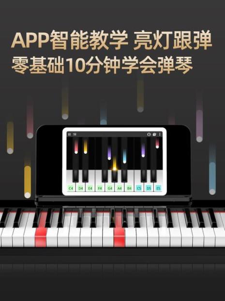 特伦斯电子琴是杂牌琴吗