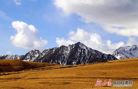 祁连山森林分布海拔规律