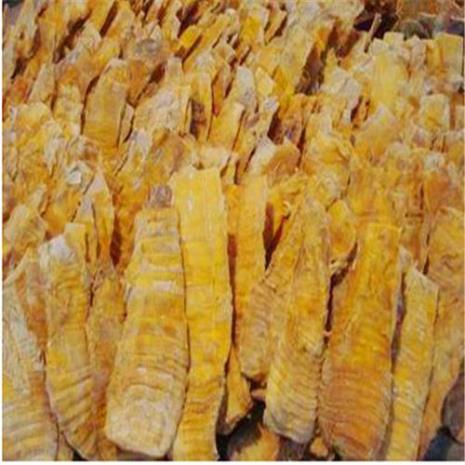 山东竹笋什么意思
