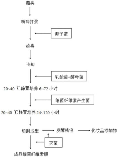 发酵的原理是什么