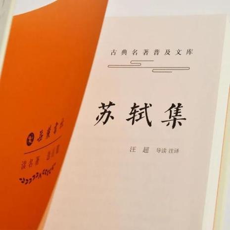 潇洒东坡读后感