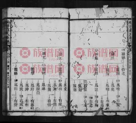 姓庄的家族的祖先是哪位