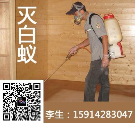 除白蚁最简单有效的方法
