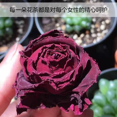 一朵干玫瑰花大约多少克