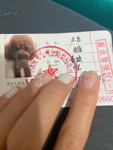 拉布拉多能办狗证吗