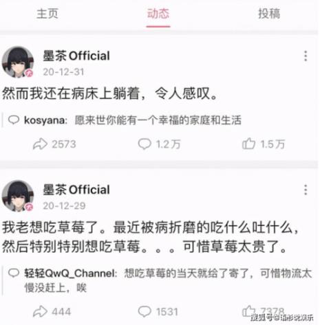 墨茶是什么