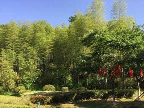 宜兴竹海门票多少