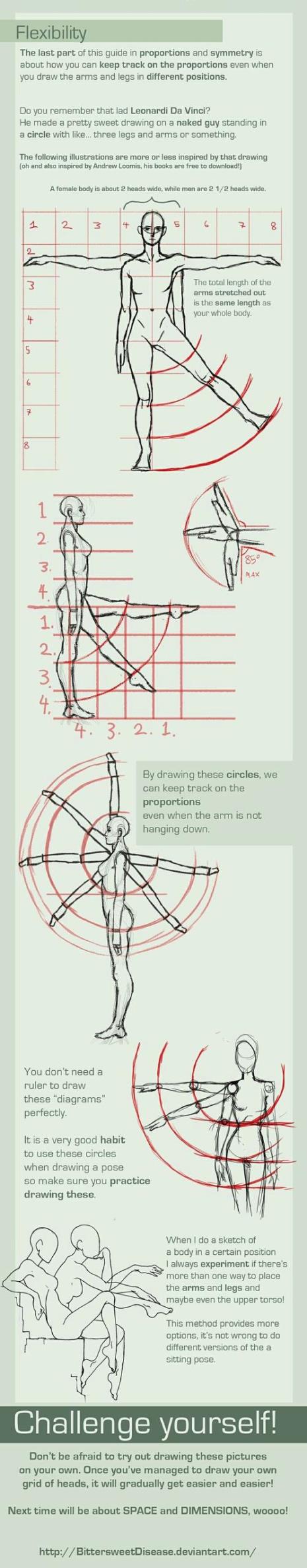 人体各项数据比例