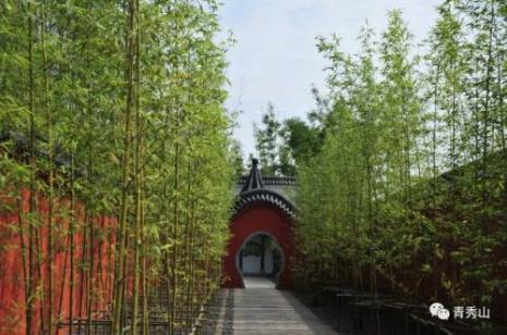 青秀山竹园景区介绍