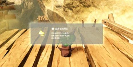 塞尔达克洛洛果实位置