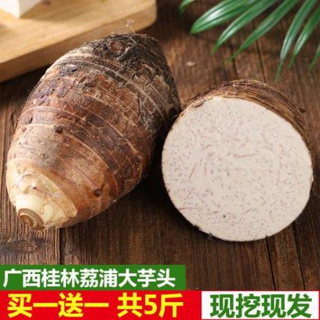 荔浦芋头原产地在什么地方