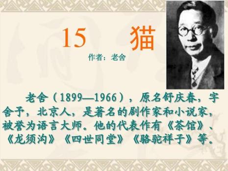 老舍资料卡50字