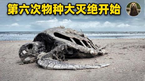 过去两百年灭绝了多少动物