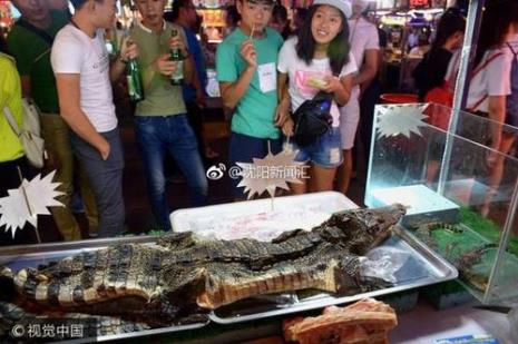 鳄鱼怎么宰杀