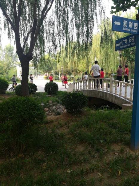 河北邯郸东山公园好玩吗