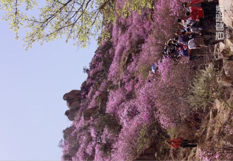 青岛大珠山和珠山哪个好