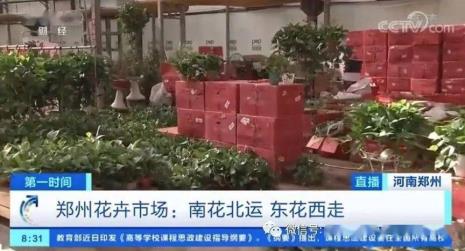 万达花卉市场营业时间