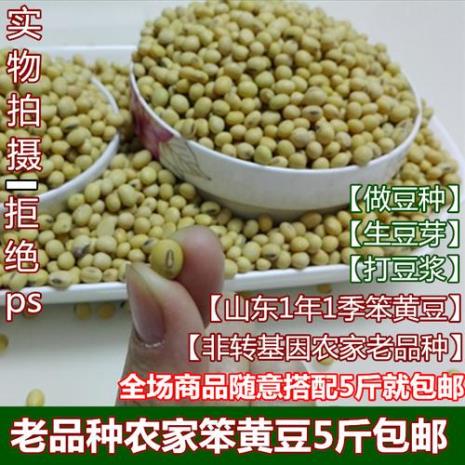 非转基因黄豆和有机黄豆的区别