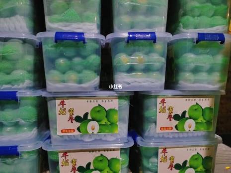 牛奶枣与枣区别