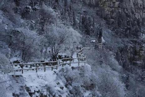 齐山属于什么山