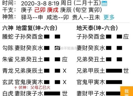 什么是主变爻