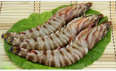 竹节虾可以冰冻保存多久