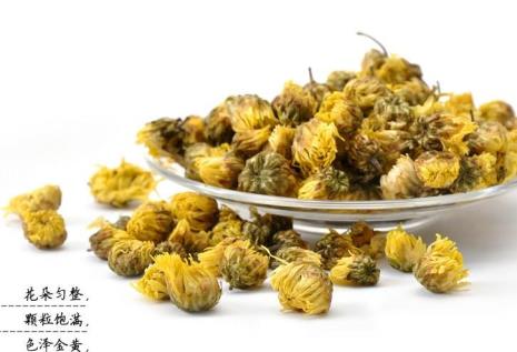 胎菊几月份成熟