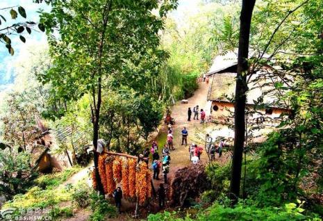 周至耿峪沟风景区门票