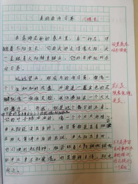 描写植物特点的顺序有