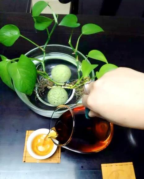 人生如茶心似莲是什么意思