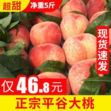 九保桃和九宝桃区别