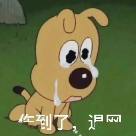 抖音表情流泪什么意思