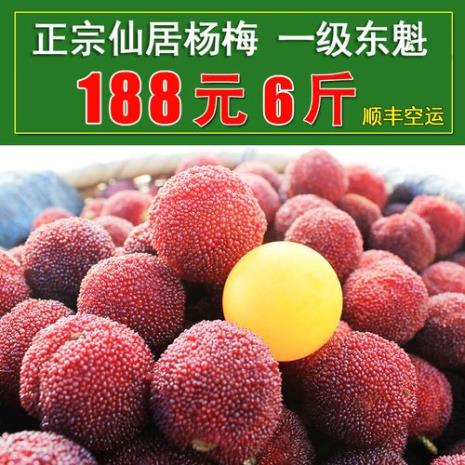 东魁杨梅耐高温吗