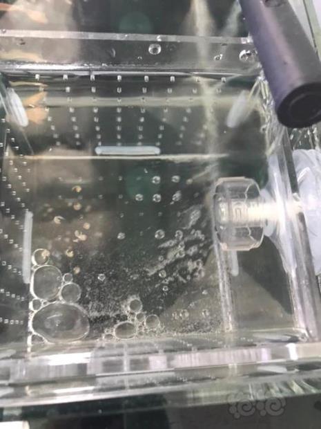 鱼虾跳缸什么原因