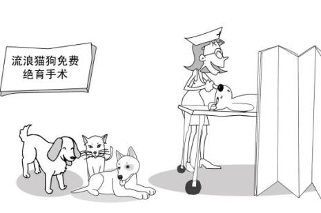 母猫发情的表现是怎么样的