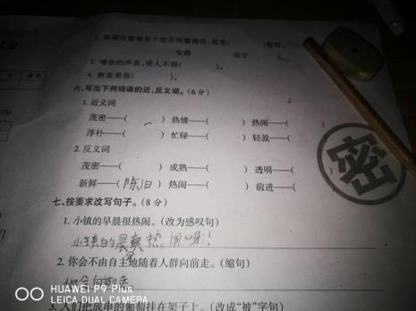 隐藏的反义词是什么