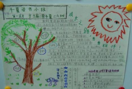 什么样的读书手抄报最好看