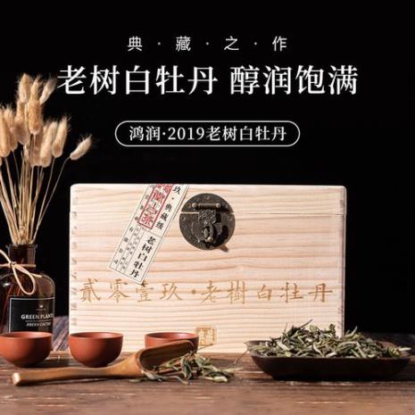 老树白茶是什么茶