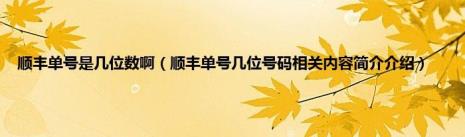 顺风快递开头数字是什么